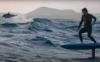 L'albatros