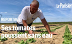 Cultiver sans eau ? La fausse bonne idée des médias