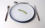 Après Weight Watchers et Slim Fast, la RGPP !
