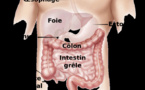 Stop à la constipation