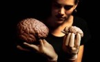 Le prix d'un cerveau