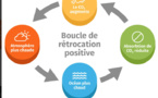 L'effondrement climatique interviendra dans seulement 15 ans, voici pourquoi