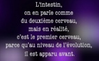 Retarder le vieillissement et lutter contre le cancer : le rôle inattendu de l'intestin !