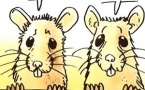 « Les vaccins à ARNm liés à des dommages incroyables »