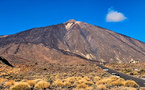 TENERIFE : l'île du printemps éternel