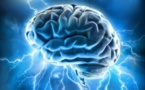 Le cerveau humain aurait une capacité de stockage phénoménale