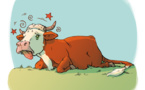 Pavé de bœuf : de la vieille vache (malade) dans votre assiette