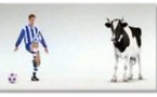 Vache de foot !