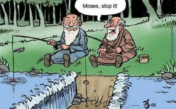 Un peu d'humour dans un monde de brutes !