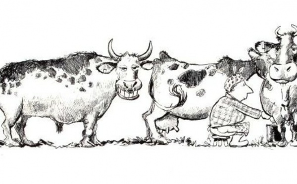 Vous avez deux vaches...