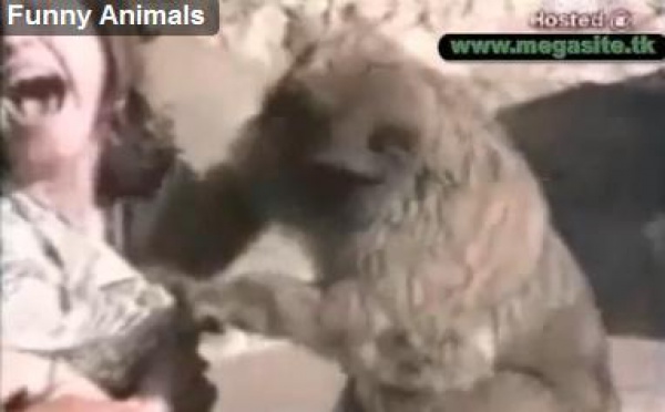 Aimez vous les animaux ?