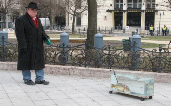 Les photos de la semaine