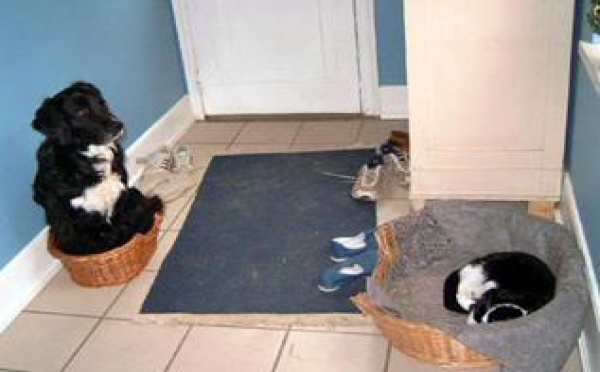 Les choses de la vie