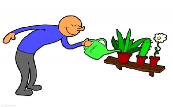 Un petit diaporama sympa...