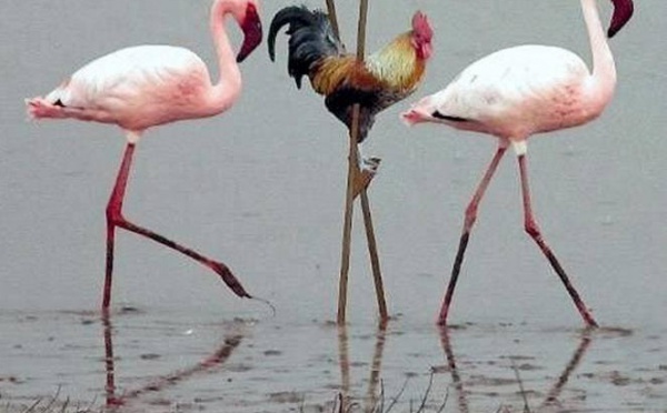 Scène désolante de racisme ordinaire en Belgique