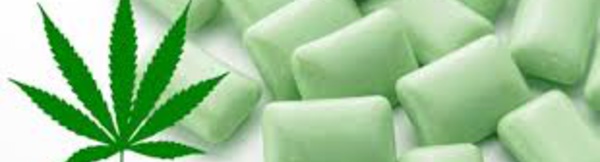 Un chewing-gum au cannabis pour soulager les douleurs de la fibromyalgie !