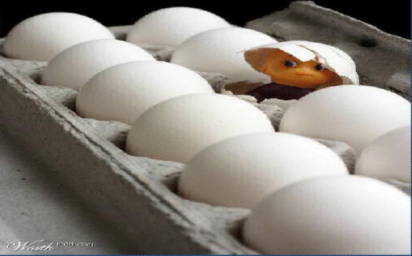 Il ne faut jamais croire tout ce que l'on voit !