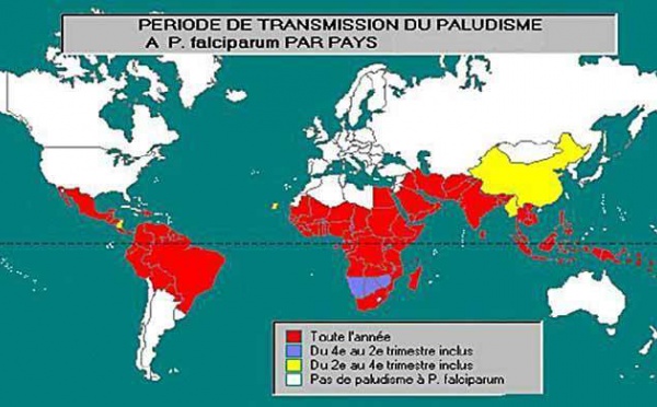 Un nouveau traitement pour le paludisme.
