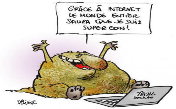Les joies du webmaster