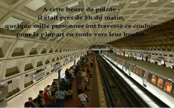 Un violon sur le quai