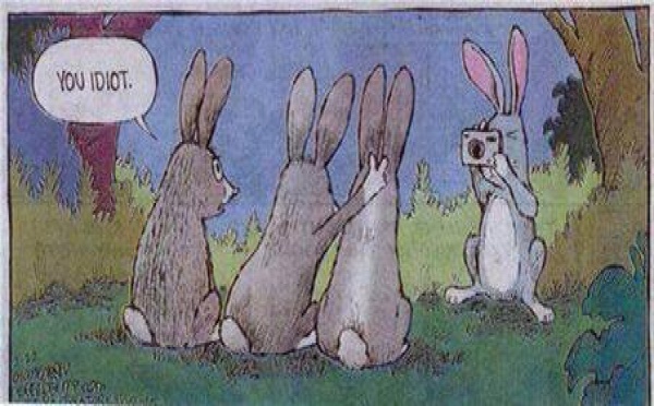 Les images de la semaine