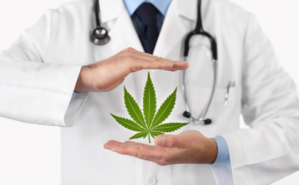Du cannabis à l'hospice
