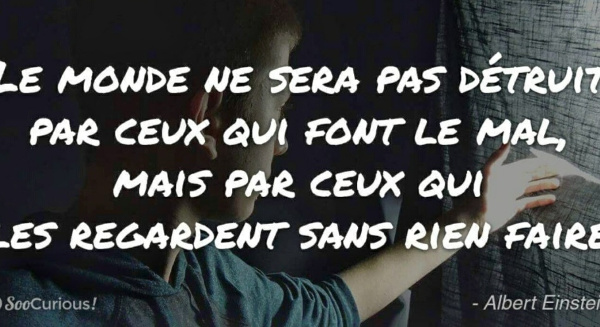 La citation du jour