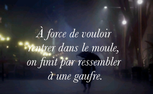 Une autre citation du jour