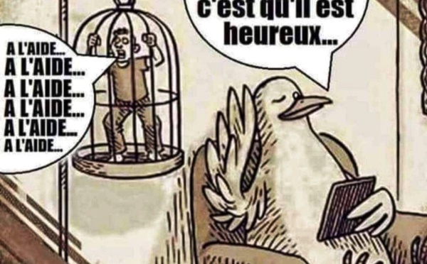 Le dessin de la semaine