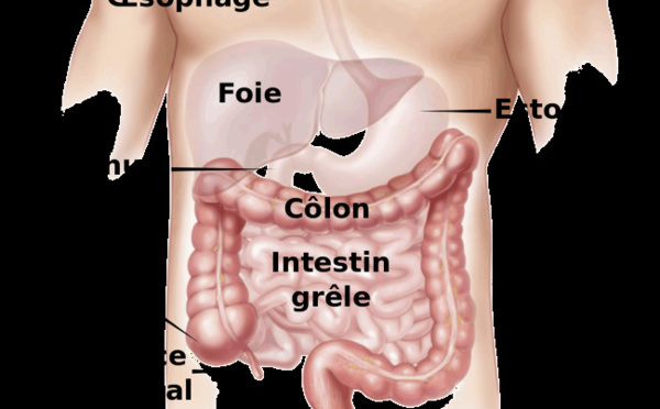 Stop à la constipation