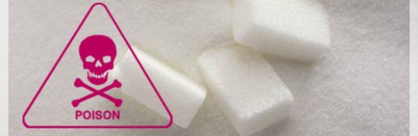 Le sucre fera disparaître par dégénérescence l’espèce humaine