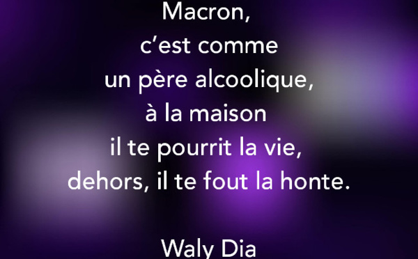 Une citation de Waly Dia, l'humoriste