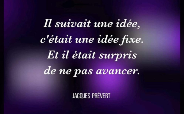 La citation du jour