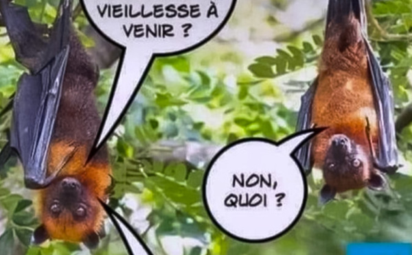 L'image de la semaine