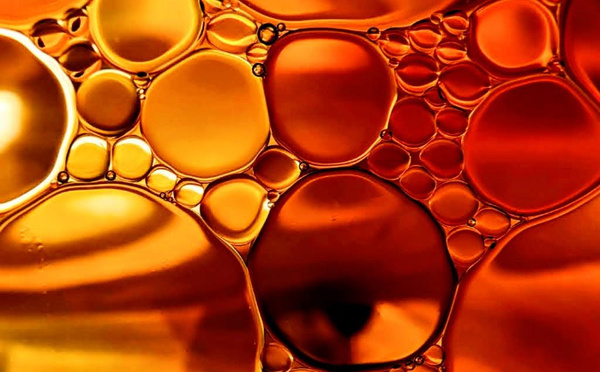 L'aliment le plus MORTEL de tous