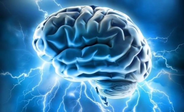 Le cerveau humain aurait une capacité de stockage phénoménale