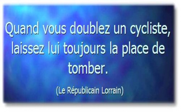 A travers la presse déchaînée...