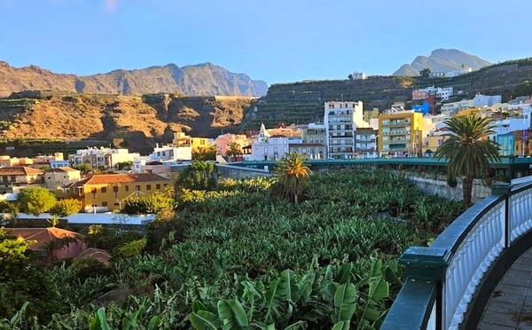 Photo Zfold 5 + Google Photos