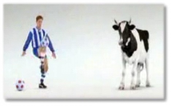 Vache de foot !