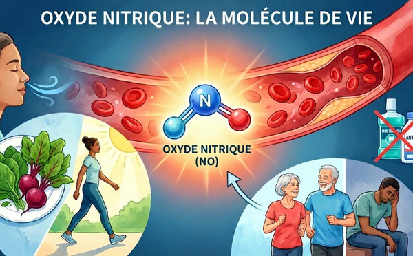 La molécule miracle que votre corps oublie de fabriquer : l’Oxyde Nitrique (monoxyde d'azote)