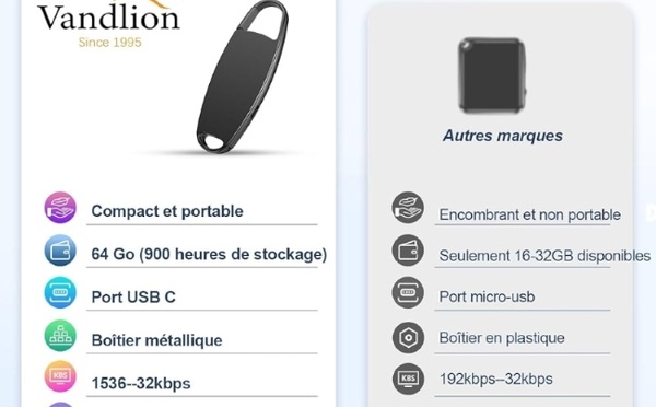 Enregistreur vocal + IA : comment j'évite 280 € d'abonnement avec un Vandlion à 60 €rticle n°7885