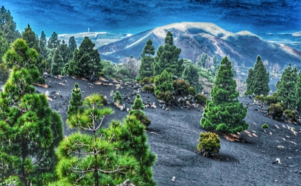 Le volcan Tajogaite : entre fureur tellurique et métamorphose numérique