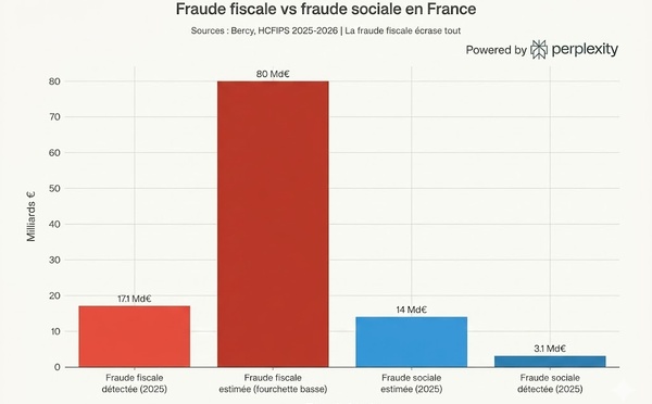 Fraude fiscale et fraude dite "sociale", en France et en 2026