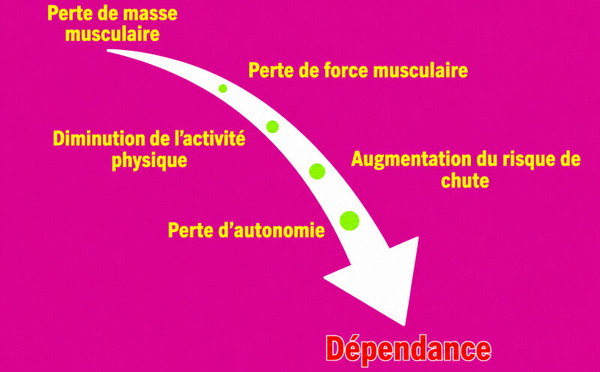 Sarcopénie : six petites graines pour aider vos muscles à tenir le coup