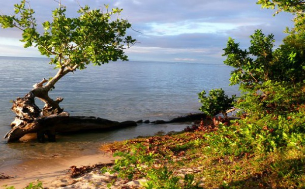 Balade à Mananara